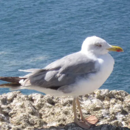 Seethesea Apartamento